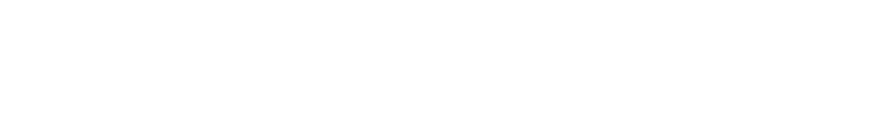 MEI Logo